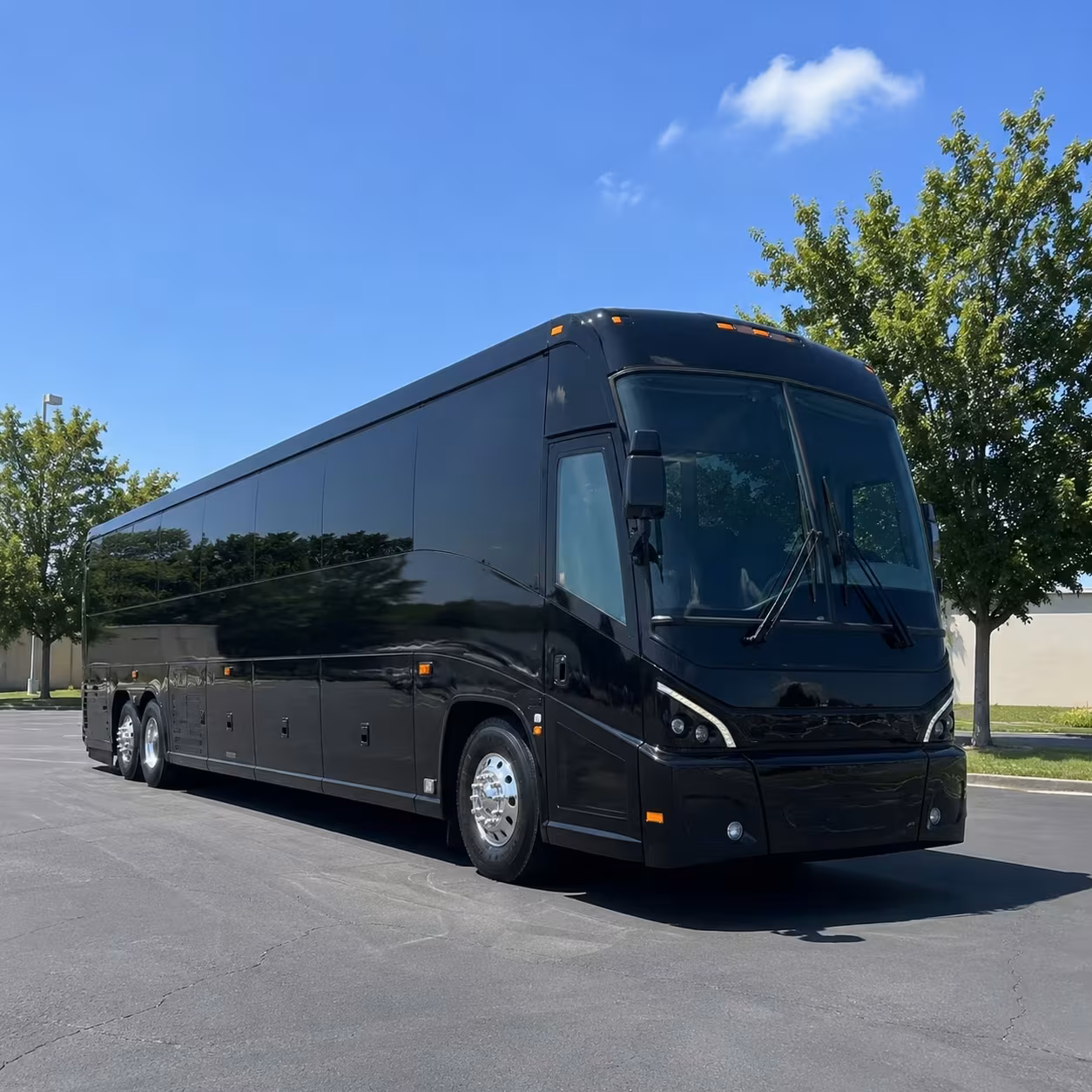 56 passenger charter bus
